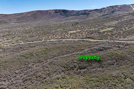 Vacant Land For Sale Near Powderhorn Ski Resort in Colorado - image 4