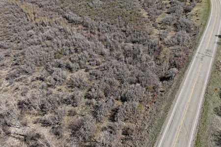 Vacant Land For Sale Near Powderhorn Ski Resort in Colorado - image 7