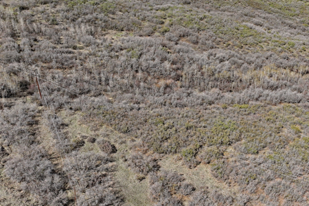Vacant Land For Sale Near Powderhorn Ski Resort in Colorado - image 8