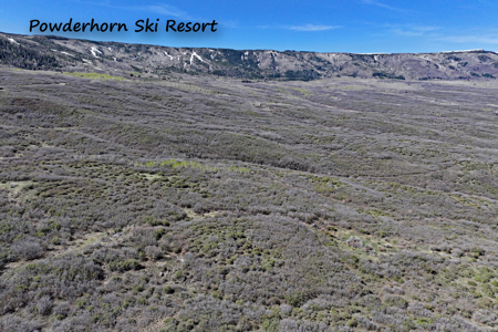 Vacant Land For Sale Near Powderhorn Ski Resort in Colorado - image 10