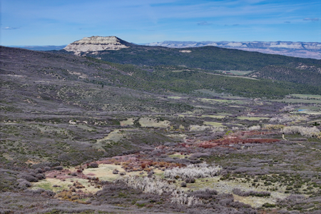 Vacant Land For Sale Near Powderhorn Ski Resort in Colorado - image 1