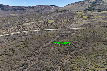 Vacant Land For Sale Near Powderhorn Ski Resort in Colorado - image 3