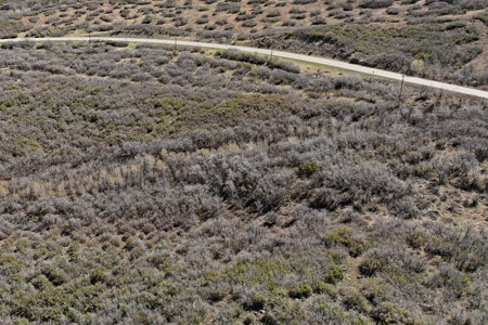 Vacant Land For Sale Near Powderhorn Ski Resort in Colorado - image 9