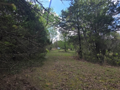 Land with Utilities for Sale in Antlers, Oklahoma - image 5