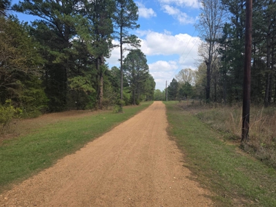 Land with Utilities for Sale in Antlers, Oklahoma - image 3