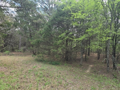 Land with Utilities for Sale in Antlers, Oklahoma - image 10