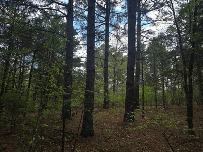 Land with Utilities for Sale in Antlers, Oklahoma - image 4