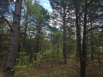 Land with Utilities for Sale in Antlers, Oklahoma - image 13