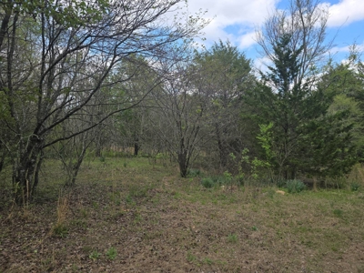 Land with Utilities for Sale in Antlers, Oklahoma - image 8