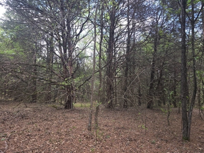 Land with Utilities for Sale in Antlers, Oklahoma - image 14