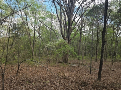 Land with Utilities for Sale in Antlers, Oklahoma - image 15