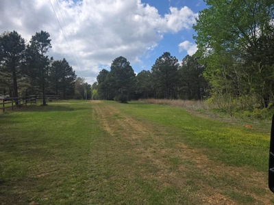 Land with Utilities for Sale in Antlers, Oklahoma - image 2