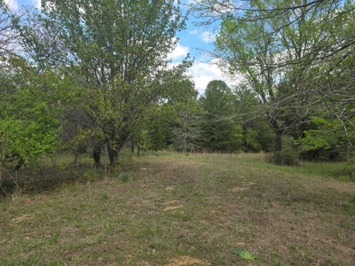 Land with Utilities for Sale in Antlers, Oklahoma - image 9