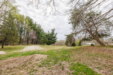5.5 Acres with Split Potential | Bloomington Auction - image 2