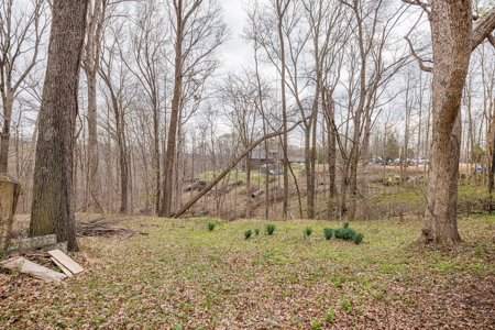 5.5 Acres with Split Potential | Bloomington Auction - image 41