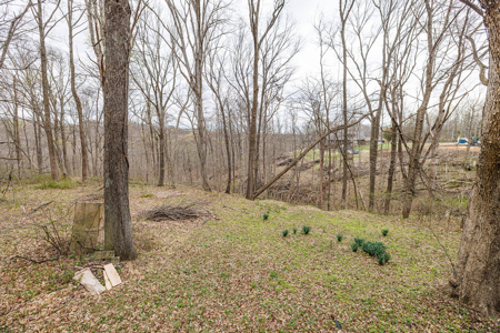 5.5 Acres with Split Potential | Bloomington Auction - image 39