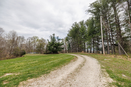 5.5 Acres with Split Potential | Bloomington Auction - image 4