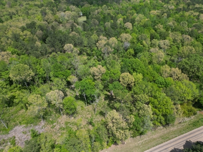 10 Acres Wooded Land in Maud TX – $100K, Will subdivide - image 13