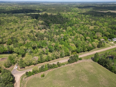 10 Acres Wooded Land in Maud TX – $100K, Will subdivide - image 11