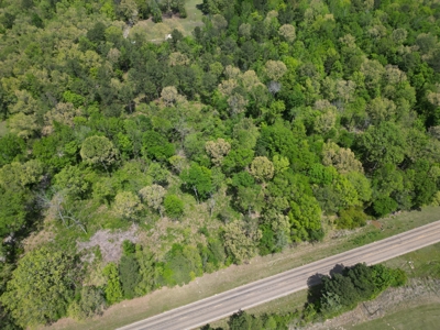 10 Acres Wooded Land in Maud TX – $100K, Will subdivide - image 12