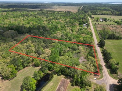 10 Acres Wooded Land in Maud TX – $100K, Will subdivide - image 6