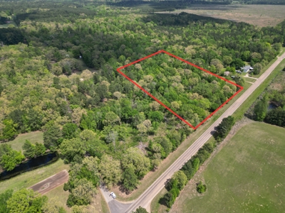 10 Acres Wooded Land in Maud TX – $100K, Will subdivide - image 3