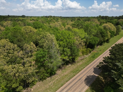 10 Acres Wooded Land in Maud TX – $100K, Will subdivide - image 14