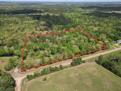 10 Acres Wooded Land in Maud TX – $100K, Will subdivide - image 7