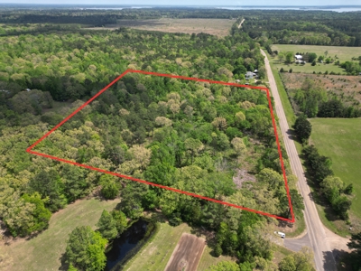 10 Acres Wooded Land in Maud TX – $100K, Will subdivide - image 4