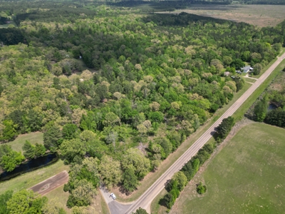 10 Acres Wooded Land in Maud TX – $100K, Will subdivide - image 10