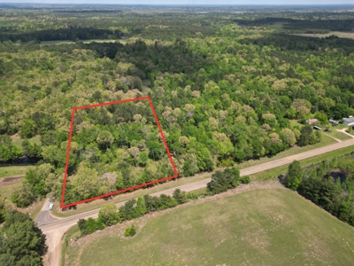 10 Acres Wooded Land in Maud TX – $100K, Will subdivide - image 9