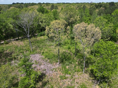 10 Acres Wooded Land in Maud TX – $100K, Will subdivide - image 15