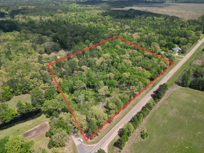 10 Acres Wooded Land in Maud TX – $100K, Will subdivide - image 1