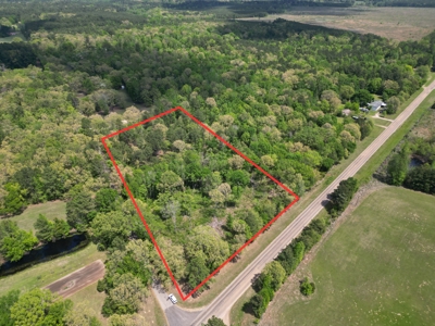 10 Acres Wooded Land in Maud TX – $100K, Will subdivide - image 2