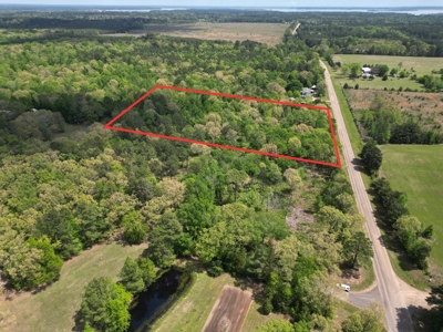 10 Acres Wooded Land in Maud TX – $100K, Will subdivide - image 5