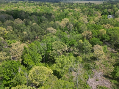 10 Acres Wooded Land in Maud TX – $100K, Will subdivide - image 17