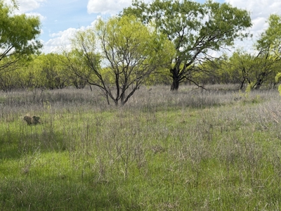 Land For Sale in Brown County Texas with a Pond and water Well - image 4