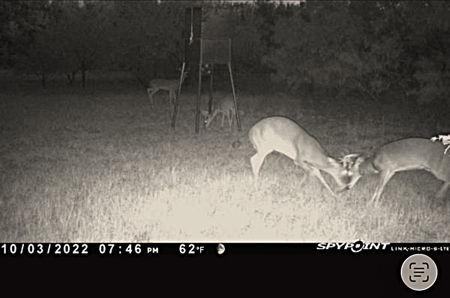 Land For Sale in Brown County Texas with a Pond and water Well - image 24