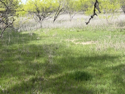 Land For Sale in Brown County Texas with a Pond and water Well - image 5