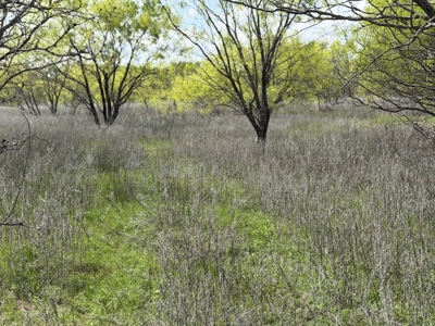 Land For Sale in Brown County Texas with a Pond and water Well - image 6