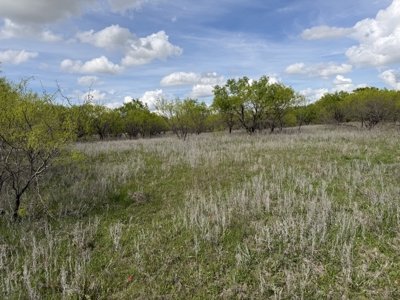Land For Sale in Brown County Texas with a Pond and water Well - image 2