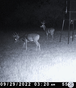 Land For Sale in Brown County Texas with a Pond and water Well - image 23