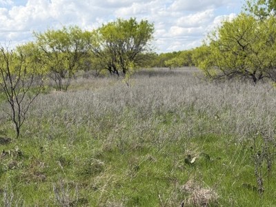 Land For Sale in Brown County Texas with a Pond and water Well - image 9