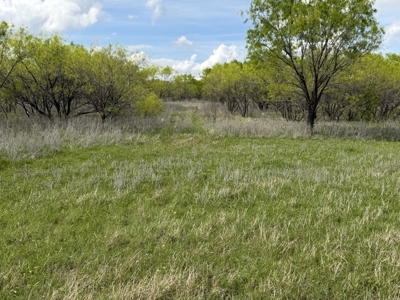 Land For Sale in Brown County Texas with a Pond and water Well - image 14