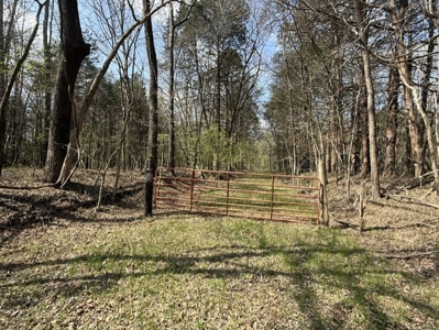 Poultry Farm, Hunting and Recreational Land in Strawberry AR - image 1