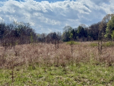Poultry Farm, Hunting and Recreational Land in Strawberry AR - image 7