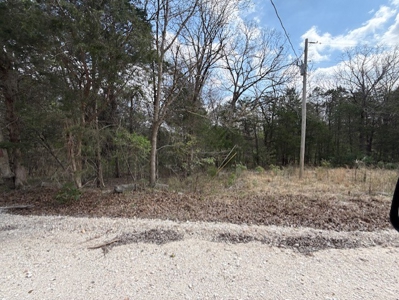 Poultry Farm, Hunting and Recreational Land in Strawberry AR - image 14