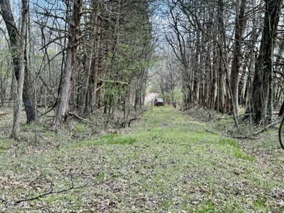 Poultry Farm, Hunting and Recreational Land in Strawberry AR - image 5