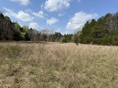 Poultry Farm, Hunting and Recreational Land in Strawberry AR - image 12