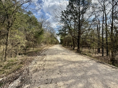 Poultry Farm, Hunting and Recreational Land in Strawberry AR - image 10